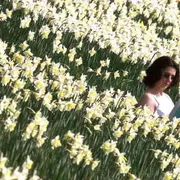 Bentornata alla primavera, che non fa più notizia (e non è mai maledetta)