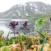 Ritorno in terra alta: anche la montagna è in transizione