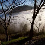 I Colli Euganei entrano nel patrimonio della biosfera Unesco