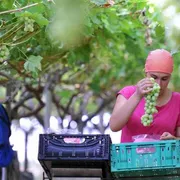 Nei Paesi ricchi il 13% dei lavoratori ha problemi per il troppo caldo