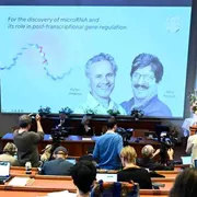 "Spegnere" i tumori, un sogno da Nobel assetato di ricerca
