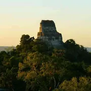 Messico, scoperti nella foresta nuovi insediamenti della civiltà maya