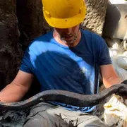 San Casciano, dal fango emergono nuovi tesori etruschi e romani