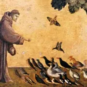 Il Cantico delle Creature, da 800 anni voce di speranza