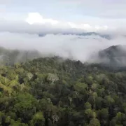 L'Amazzonia dei fiumi volanti: come si cambia per non morire