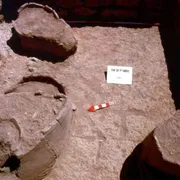 Parla Matthiae: «In Siria ci sono altri tesori, dobbiamo scavare ancora»