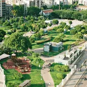 Riportare il verde dentro le nostre città