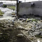 «Dopo lo scempio arrivino le bonifiche»