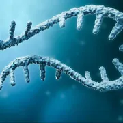 Rna messaggero, il "passe-partout" della ricerca
