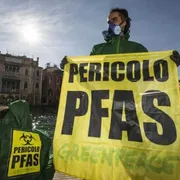 Pfas in Veneto: sono arrivate le condanne per chi ha avvelenato l'acqua