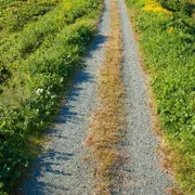«Cosa vuoi conoscere?». La domanda che segna la strada