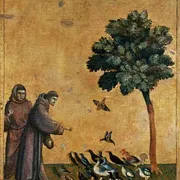Gli 800 anni del Cantico delle Creature sono un manifesto per l'oggi