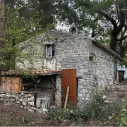 Libertà o controllo? I bambini del bosco che dividono l’Italia