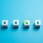 Open access: dalla Rete dei pionieri alla Rete di tutti
