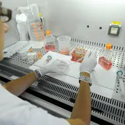 Screening genetici alla nascita: una sfida scientifica ed etica