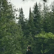 Basta guardarla per stare meglio: la forza curativa della natura