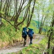 Boom dei cammini, sulle vie del turismo lento l'Italia corre: nel 2025 oltre 300mila viandanti