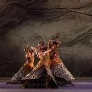 Uno spettacolo in scena a Biennale Danza