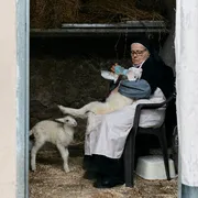 "Agnus Dei", arrivano in sala gli agnellini del Papa
