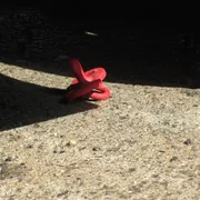Il dramma di Catanzaro e quel male che nessuno ha saputo vedere