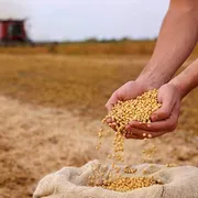 Effetto Hormuz, i prezzi globali del cibo sono ai massimi da quattro anni