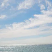Una lettera d’amore all’umanità