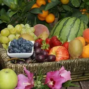 Il cesto delle fatiche dolci: la sinfonia d’estate delle giovani famiglie