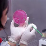 L'appello di scienziati e big-tech in America: attenti, sul Dna è allarme biosicurezza