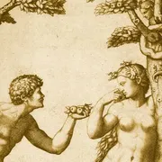 I due alberi del giardino della storia