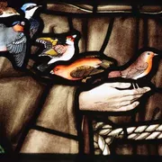 La rivoluzione di San Francesco: una comunicazione che nasce dalla vita