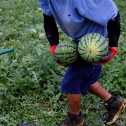 In Spagna hanno chiesto la regolarizzazione 900mila immigrati