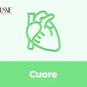 Cuore - Capire il mondo senza semplificarlo