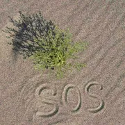 Il Po a secco, i campi del Delta senza irrigazione: l'emergenza siccità è all'inizio
