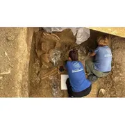 A Sirolo una tomba principesca con carro riscrive la storia dei Piceni