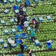 Remigrazione: il miope populismo che ignora i numeri