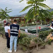 Non ce l’ha fatta Alice, la bimba
rimasta incastrata in piscina