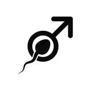 Così l’ovocita attira lo spermatozoo “migliore”