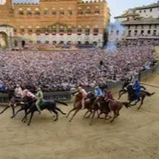 Palio di Siena, alla ricerca di oltre 100 addetti all'accoglienza