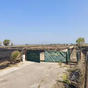 Castel Volturno, incendio distrugge il Parco La Piana: l'ombra del dolo
