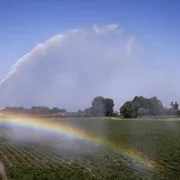Il clima estremo ha effetti pesanti sui campi e sui prezzi: ecco quali
