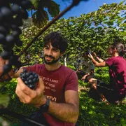 Custodi del territorio: i vignaioli della Fivi per la prima volta saranno al Meeting di Rimini