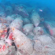 Trovato nel mare di Mazara un relitto romano con centinaia di anfore