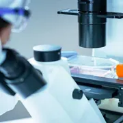 L’osservato dipende da come osserviamo (nella scienza e nella vita)
