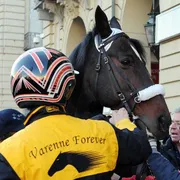 Il cavallo Varenne durante una sfilata nel 2010 in piazza Castello a Torino / ANSA