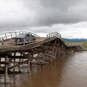 Ti raduno il gregge con l’auto elettrica. Lo strano caso delle ibride in Mongolia