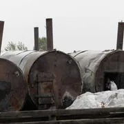 Dall’Ucraina all’Europa,
la carbonella da barbecue
che brucia nell’illegalità