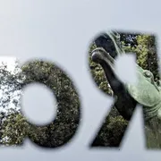 Il logo della Rai con la testa del cavallo morente in bronzo di Francesco Messina all'entrata della sede generale di Viale Mazzini  / ANSA