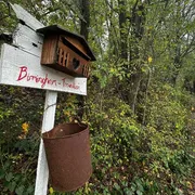 Le cinque cose che abbiamo imparato dalla vicenda della famiglia nel bosco