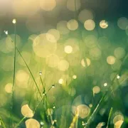 La luce ha bisogno di una relazione