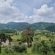 Il primo progetto vitivinicolo della diocesi di Padova